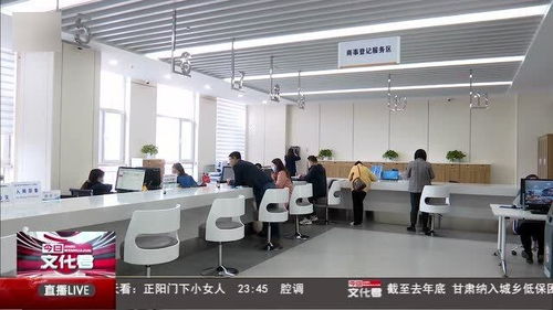 互联网政务服务赋能药品监管 构建高效透明的互联网信息服务新模式